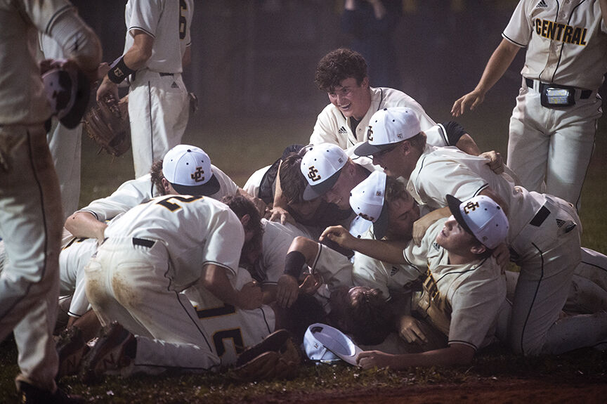 dog pile.jpg